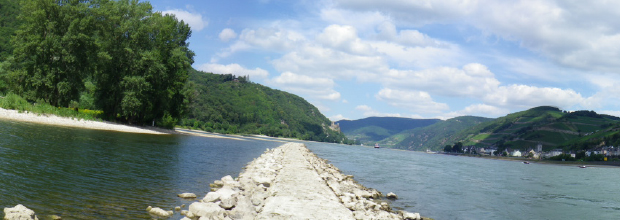 Sammelorte am Rhein